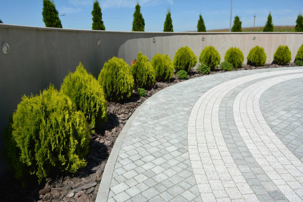 Professional Driveway Pavers in Magnolia, NJ